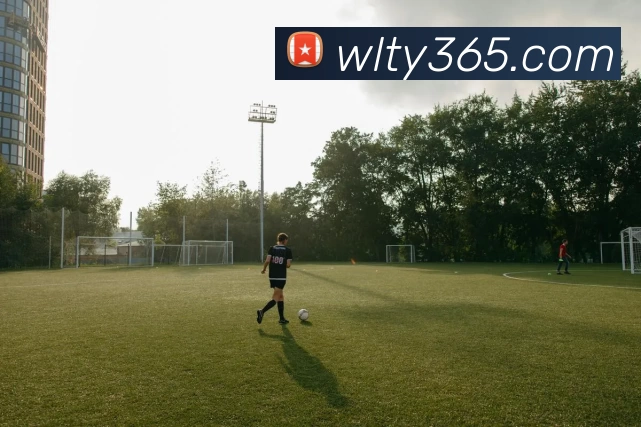 多媒体互动体验